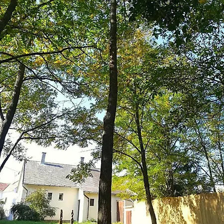 Postalada Vendeghaz Salfold