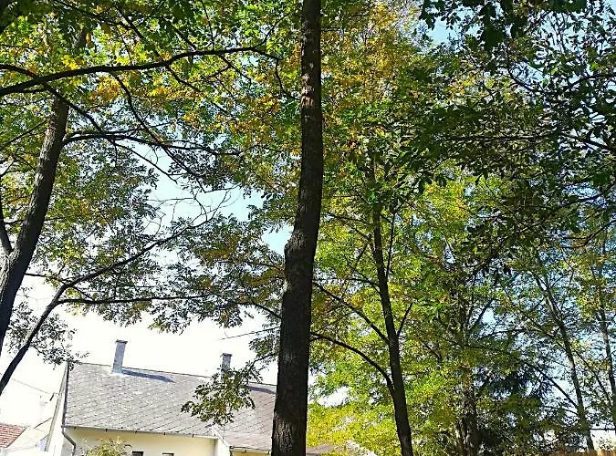 Postalada Vendeghaz Salfold