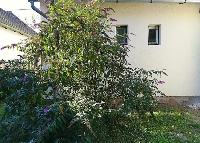 Apartment Postalada Vendeghaz Salfold